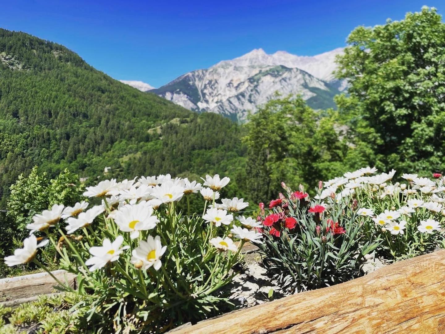 La Maison - Il Riparo Del Cervo Bardonecchia Exterior foto