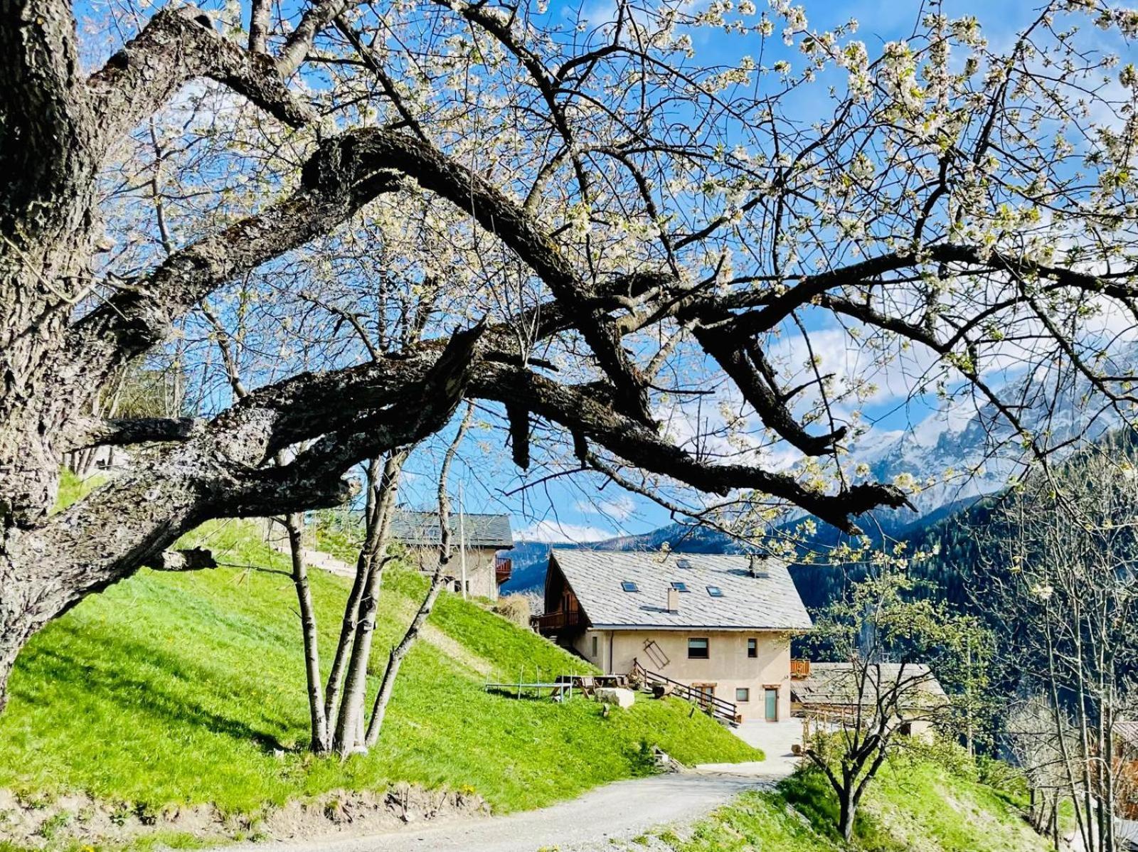 La Maison - Il Riparo Del Cervo Bardonecchia Exterior foto