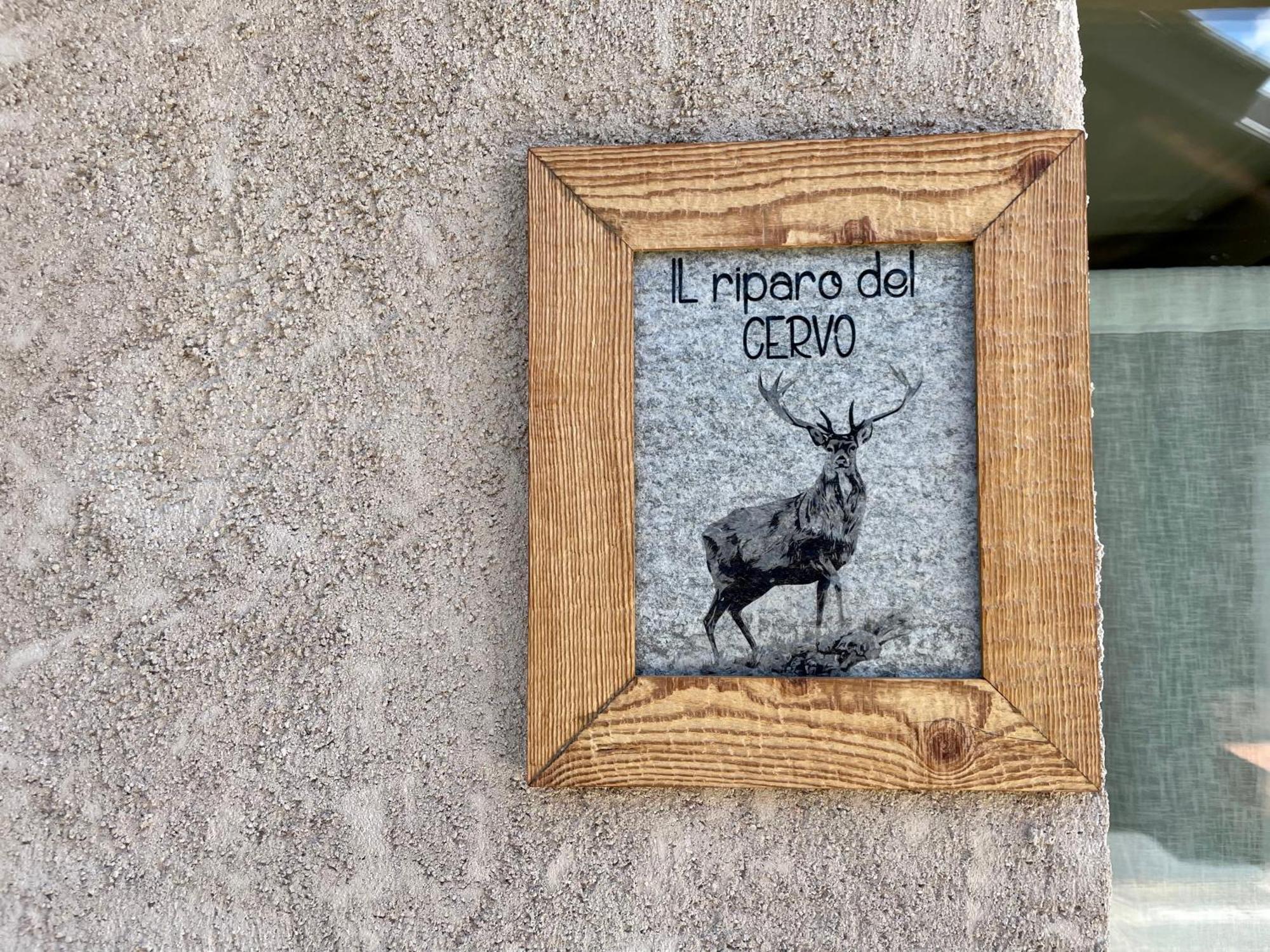 La Maison - Il Riparo Del Cervo Bardonecchia Exterior foto